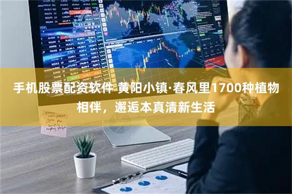 手机股票配资软件 黄阳小镇·春风里1700种植物相伴，邂逅本真清新生活