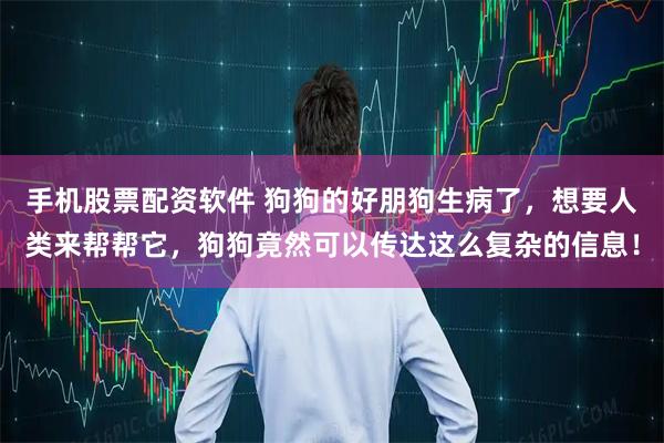 手机股票配资软件 狗狗的好朋狗生病了，想要人类来帮帮它，狗狗竟然可以传达这么复杂的信息！